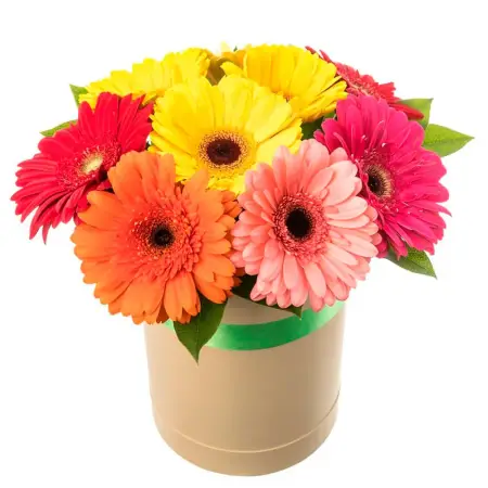 Мир в ярком свете