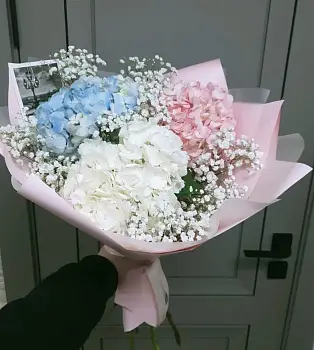 Воплощение мечты