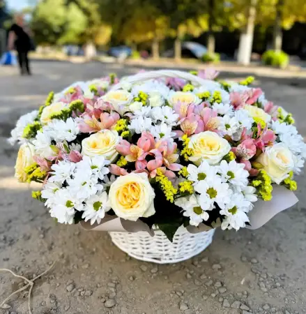 Свежесть утра