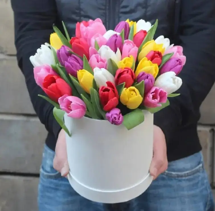 Яркий и прекрасный