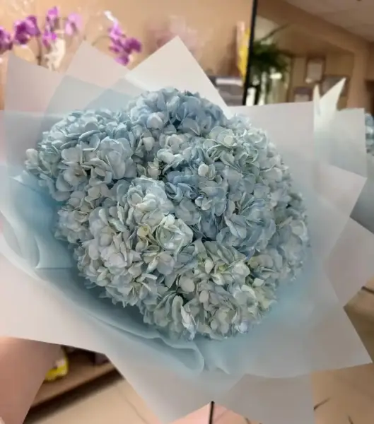 Букет из голубой гортензии